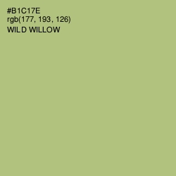 #B1C17E - Wild Willow Color Image